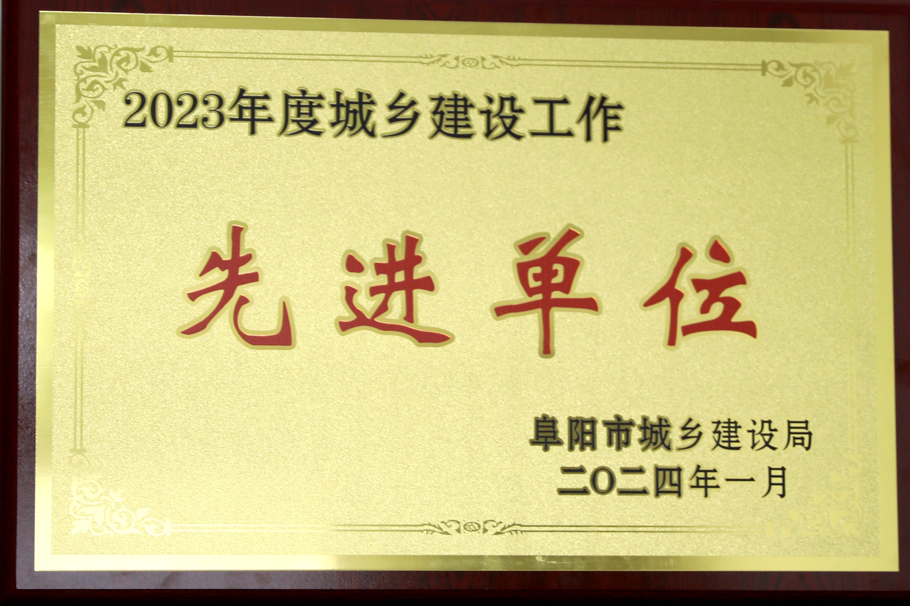 1706855498a322330.jpg 1706855498a322330.jpg